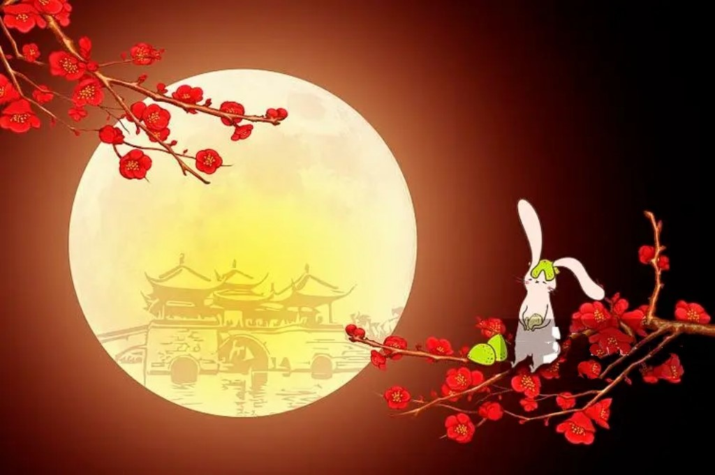 1725862824110655.jpg 1111.jpg